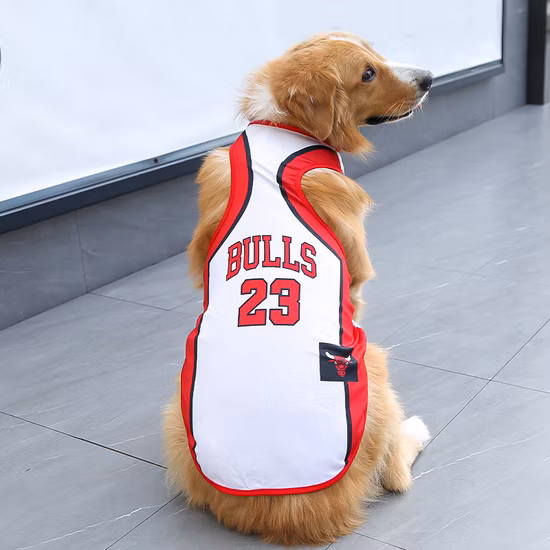 Custom-Made High Quality Thermal Conductivity Titanium Forging